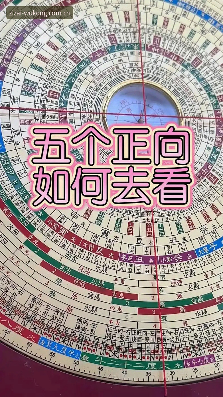 是不是每次想找个正经看盘口的地方，总被一堆花里胡哨的界面搞到头晕？尤其是新手朋友，面对满屏跳动的数字和密密麻麻的赛程表，常常连入口在哪都找不到。今天咱们就聊点实在的，把“悟空体育平台登录入口最新版本”这事儿掰开揉碎讲清楚，顺便回答几个你大概率会问的问题——比如“网站到底能看哪些联赛的数据？”